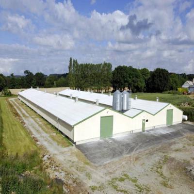 China Modern Design Industrial Commercial Galvanized Steel Structure Prefab Chicken Farm House for sale