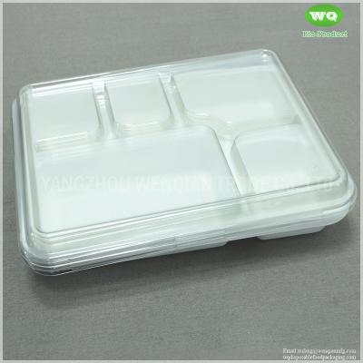 China Bleached Color 5 Compartments Sugarcane Pulp Plate With Clear PET Lid-100% Compostable Sugarcane Fiber Plates,Trays for sale