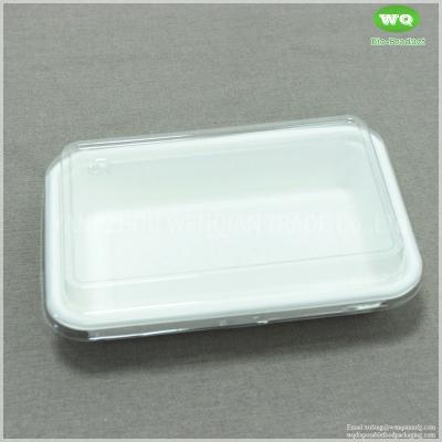 China Bleached 500ml Biodegradable Sugarcane Bagasse Lunch Box With Clear PET Lid-Durable Compostable Sugarcane Fiber Tray for sale