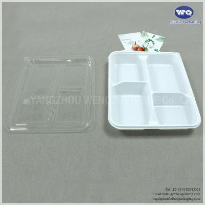 China Disposable 4-Compartments Plastic Food Container With Lid Healthy Food Storage Disposable Plastic  Lunch Box for sale