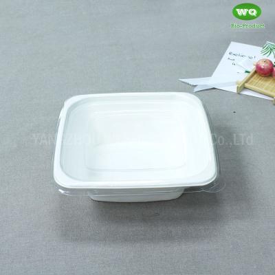 China Eco-Friendly Square Sugarcane Pulp Takeaway Container With PET Dome Lid -Compostable Disposable Foodservice Products for sale