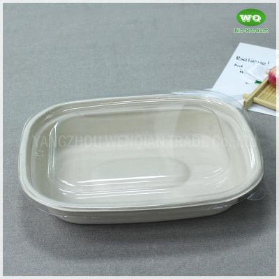 China 1100ml Biodegradable Natural Pulp Meal Box Eco-Friendly Paper Pulp Takeaway Food Container-China Factory Lunch Box for sale