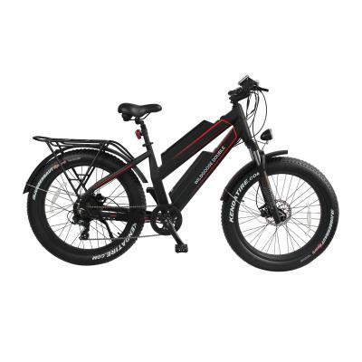 China Fat Men Aluminum Alloy Frame Electric Bicycle 48V 500W/750W/1000W Electric Bike for sale