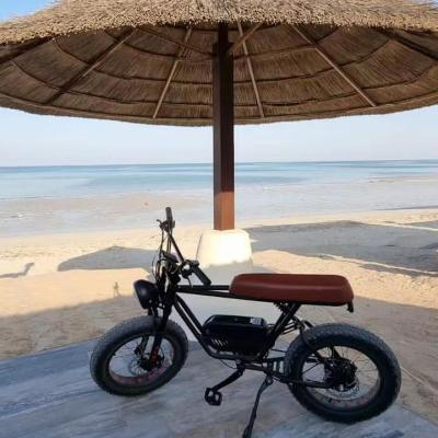 China elektro steel electric adult electric bicycle bycycles sport bicycle ebikes mountain electric bik for sale