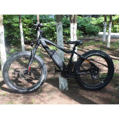 China bicicleta standard electrica electrica electric bicycle dirt bike off road electric bike for sale