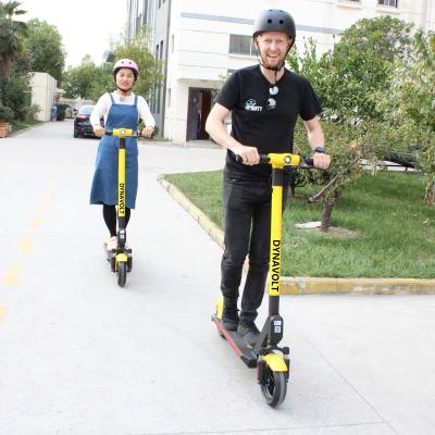 China Newest 36v unisex 350w 10 inch sharing electric scooter wholesale with 25km/h for sale