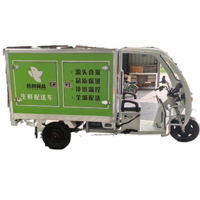 China Water Systems Customized Cart For Electric Used Ice Cream Food Concession Trailers Fish Freezer Truck for sale