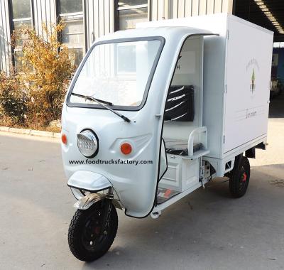 China Watering Systems Customized Electric Fridge Truck Reefer Van Refrigeration Ice Cream Food Cart Bike for sale