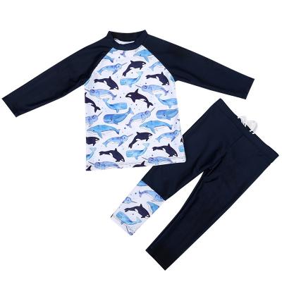 China 2022 New QUICK DRY boys long sleeve sunsuit with panties kids swimwear little boy two piece swimsuit for sale