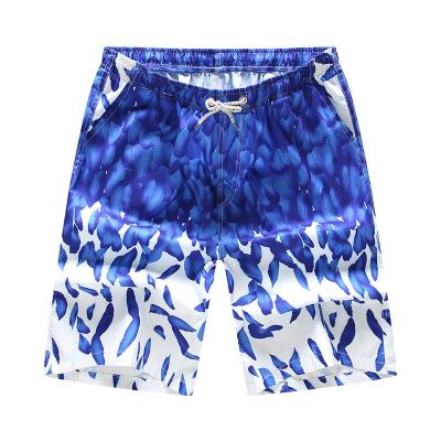 China Wholesale Anti-Wrinkle Running Beach Shorts , Summer Polyester Shorts Shorts Men Quick Dry for sale