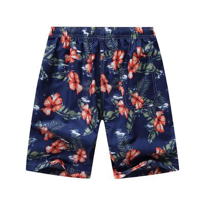 China Anti-Wrinkle SwimmingTrunks Summer Mens Swimwear Beach Quick Dry Board Shorts Briefs For Men Swim Shorts Men for sale