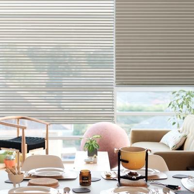 China Modern Home Decor High Quality Cheap Modern Home Decor Shangri-La Window Living Room Price Shangri-La Sheer Sheer Canvas Shades for sale