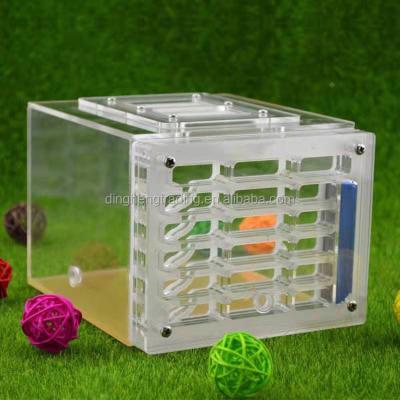 China Viable Plastic Acrylic Ants Housing Nest Insect Cage Feeding Ant Farm Nest Single Test Tube for sale