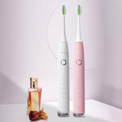 China Dupont Bristle Dongguan Lebooo 5 Modes Sonic Toothbrush 180 Days Battery Resistance Cordless Electric Toothbrush for sale