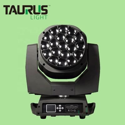 China Club Disco DJ Bar Stage Lighting OEM ODM Stage Light Beam Eye Wash 19x12W RGBW 4in1 Zoom LED Moving Head for sale