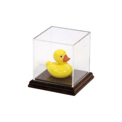 China Wholesale Multi Function Clear Custom Acrylic Display Cases Box Eco - Friendly For Hardwood Base for sale