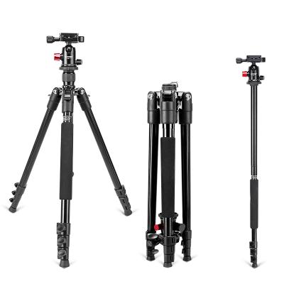 China PORTABLE Portable Magnesium Monopod Aluminum Professional Tripods 360 Degree Ball Head For DSLR Camera for sale