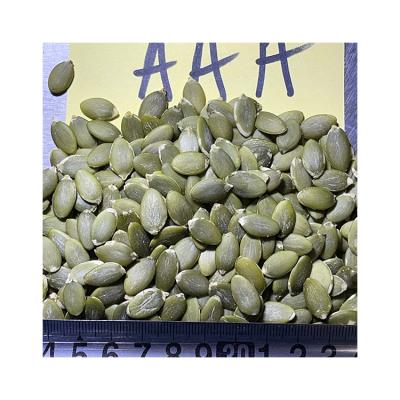 China Dried high quality and good price bagged roasted sunflower seeds pumpkin kernels for sale