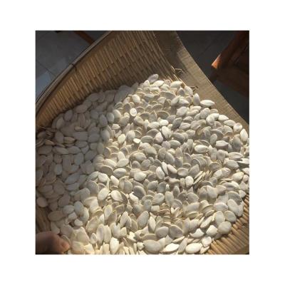 China China Manufacture Quality Dried Sunflower Roasted Pumpkin Seeds Vacuum Packing Pumpkin Seeds for sale