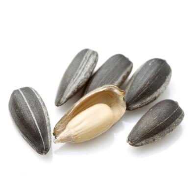 China Sunflower seeds raw dry 361 for sale