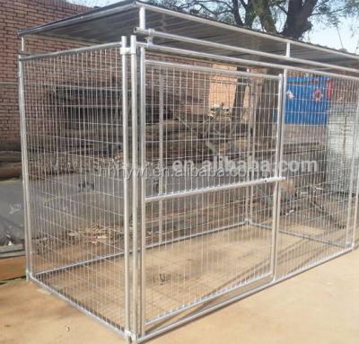 China Factory Direct High Quality Galvanized Dog Fence Sustainable With Roof for sale