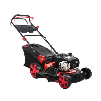 China 4-Stroke Customize 20 Inch 6.5HP Portable Lawn Mower Engine With Chinese Lawn Mower Parts for sale