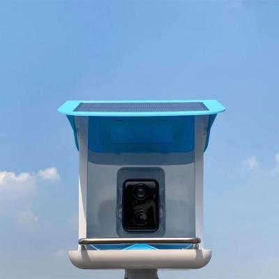 China World Start Automatic Bird Feeders For Outdoor Bird Feeder Hanging Camera for sale