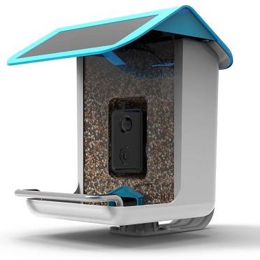 China Automatic AI Solar Powered Outdoor Smart Recognition Bird Feeder With Camera for sale