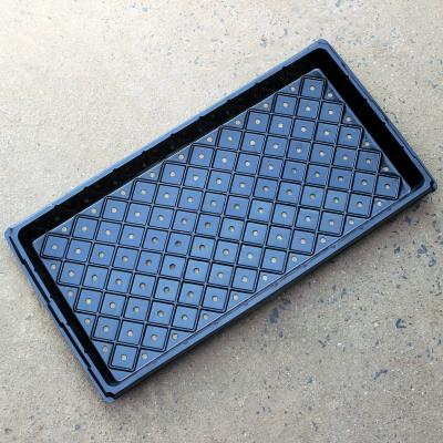 China 2021 HBT0009 High Quality Plastic Black Micro Green Trays for sale