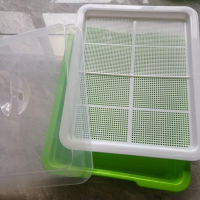 China 2021 BOM Plastic Micro Natural Green Trays Edible Grade For Health for sale