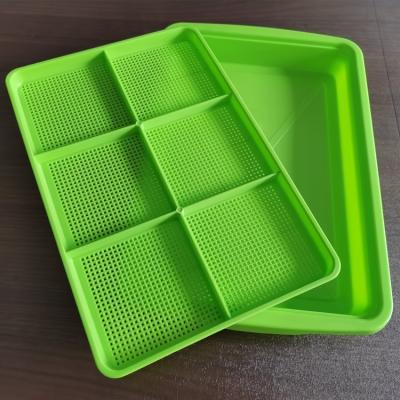 China 2021 Different Colors Micro Green Trays Plastic Food Grade For Health for sale