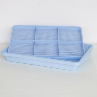 China 2021 New Arrival Plastic Mesh Trays For Microgreens blue for sale