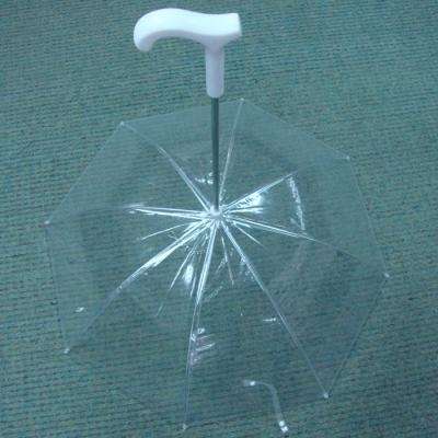 China All in 1 pet umbrella and dog umbrella for sale