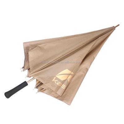 China Manual open free sample for carbon fiber umbrella for sale