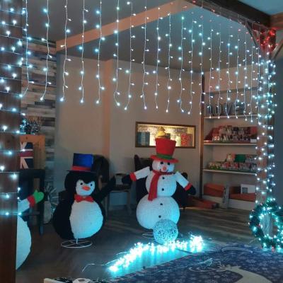 China Christmas / Holiday Custmed Led Waterproof Outdoor Neon Color Street Christmas Lights for sale