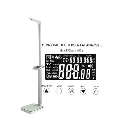 China ABS Adult Fat Body Electronic Weight Scale Automatic Height Weight Scale BMI For Pharmacy for sale