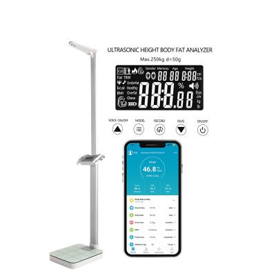 China Zhongshan Frecom ABS And Wight Big Size Digital Scale Body Scale With Height Measure Rod for sale