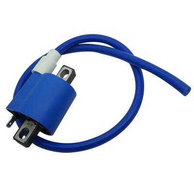 China CG125 RX 150 FT 125 AKT 125 YBR 125 AKT125 FT125 RX150 YBR125 Racing Ignition Coil Standard Size for sale