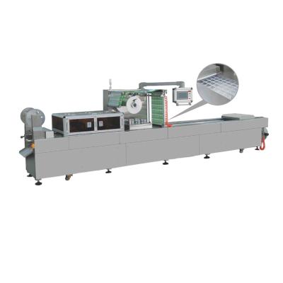 China vacuum & Gas Thermoforming Automatic Flush Stretch Film Vacuum Packing Machine For Meat Seafood Bean Curd for sale