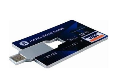 China Custom Printed Credit Card Style USB Flash Drive Storage Plastic for sale