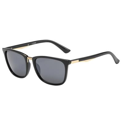 China Comfort Brand Design Polarized Mens Womens Square Sunglasses for sale