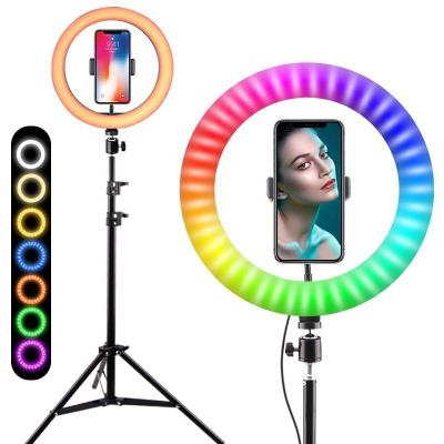 China RGB10 Inch Selfie Ring Light LED Phone Holder Makeup Ring Light With Remote Control Outer Diameter 26CM for sale