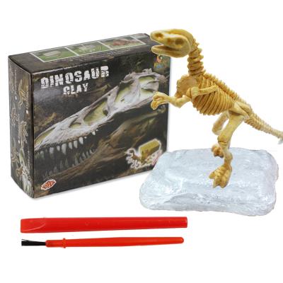 China DIY Toy Amazon Hot Selling Children's Educational Toys Five In One Dinosaur Skeleton Excavation Digging Kit 2021 for sale