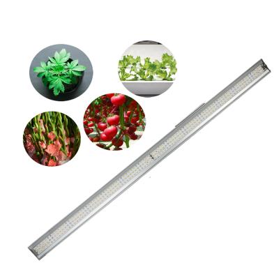 China Seed Starting Full Spectrum LED Grow Lights Samsung LM301H 100watt Microgreen LED Grow Light For Indoor Plants for sale