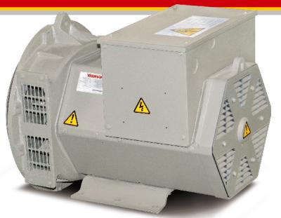 China AVR SX460 schwanzloser dreiphasiggenerator 16kw/20kva für Generator-Satz zu verkaufen