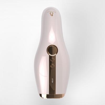 China Home Use Portable Laser Epilator IPL Hair Removal Device Becot Beaute IPL Hair Removal Machine for sale