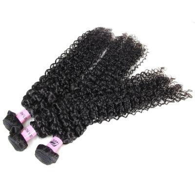 China Kinky Curly Mink Brazilian Human Hair Weaves Bundles Curly Raw Virgin Cuticle Aligned Kinky Curly Hair Extensions Unprocessed Hair Wholesale for sale