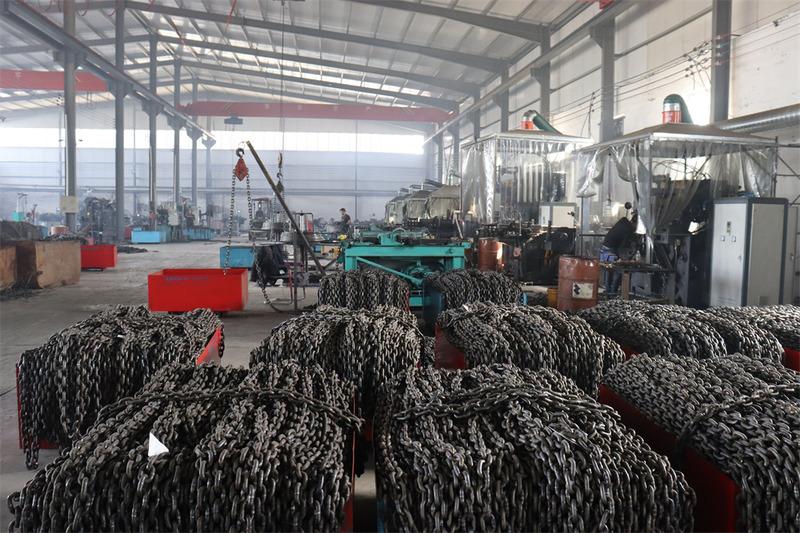 Verified China supplier - Hebei Weldon Lifting Machinery Manufacturing Co., Ltd.