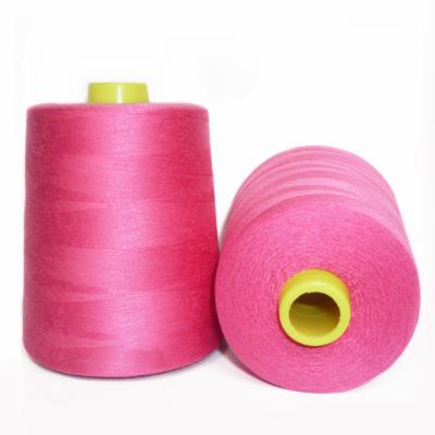 China Abrasion Resistance 2022 anti impact Polyester Transparent sewing Thread for sale