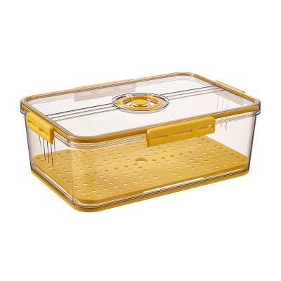 China Freshness Preservation Factory Price Kitchen Design Food Storage Container Top Timing Rectangle for sale